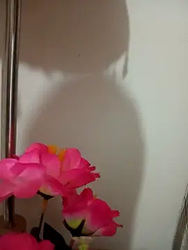 Tanha18 Live XXX Chat