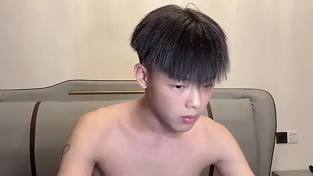 LY-0101 Show Webcam
