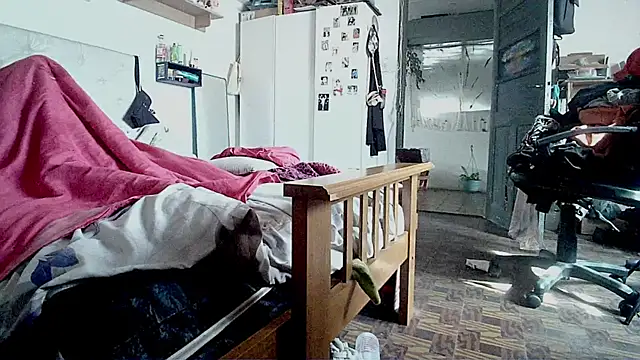 alicetgirlbr Webcam Show
