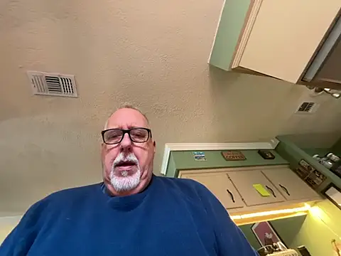 Show Webcam de superbearboss