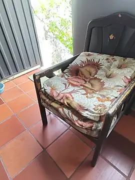 Chat +18 de Blanco2023 ao vivo