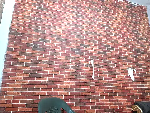 Demonpollamaster Webcam Show