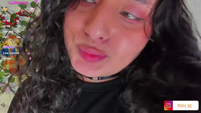 Show Webcam de TICH____