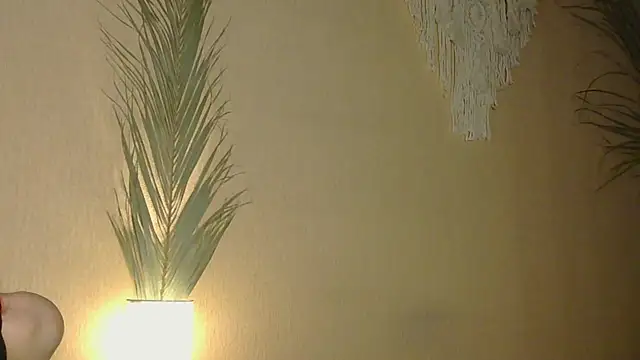 Kirana_Hayesn Webbikameraesitys