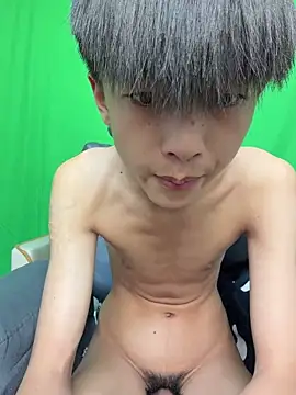 Show Webcam de DD-101