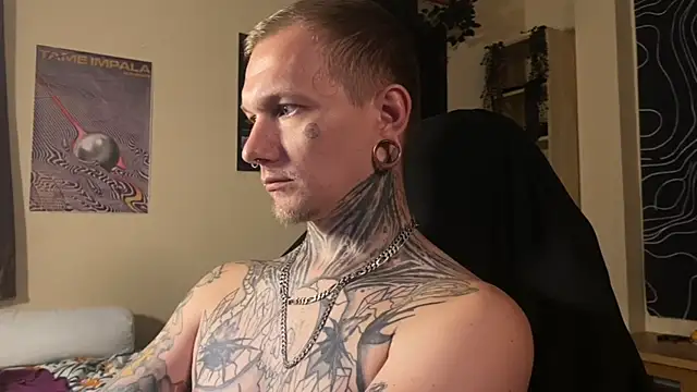 paulvelvet webkamerás műsora