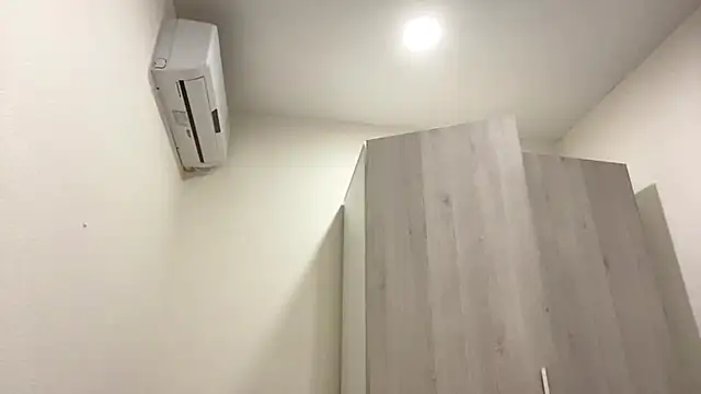 GooLana Webcam-Show