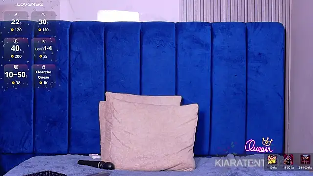عرض كام kiaratentation