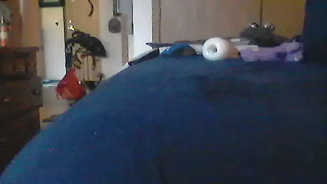 Show Webcam de Silencio26