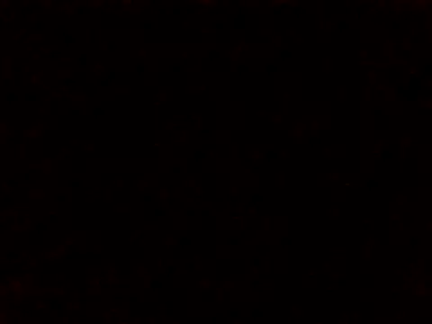 BrawSociety 网络视讯表演