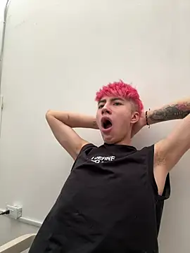 AlexanderCollman2n Webbikameraesitys