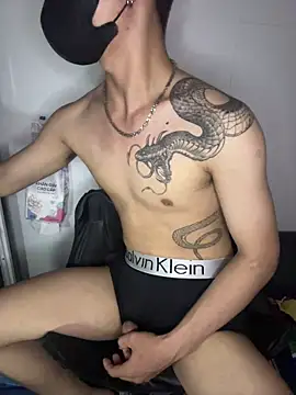 Show de shin2xx na webcam