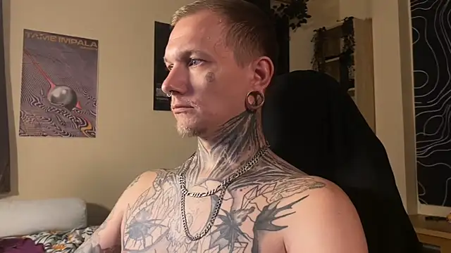 عرض كام paulvelvet