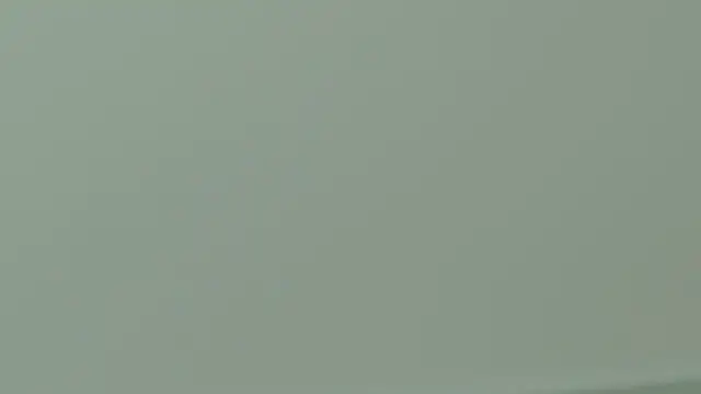 -13- Show Webcam