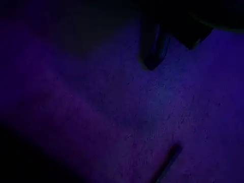 chronic_vibez 网络视讯表演