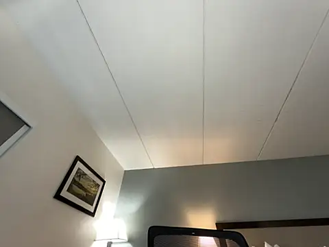 XMeF10 Show in webcam