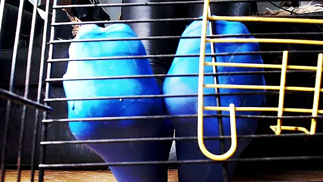 Chat +18 de Imperatriza ao vivo