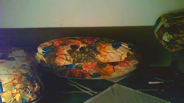 Vbestshow Show Webcam