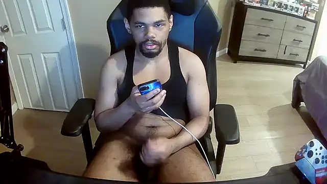 Show webcam de Neovergil0