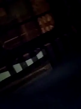 Wild_Vassu: διαδικτυακό σόου στην κάμερα