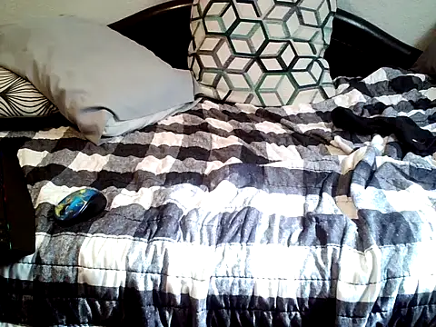ParlayT28 webcam show
