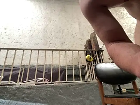rider239 Webcam-Show