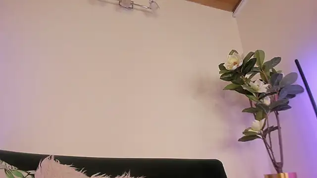 Chat XXX Live artemis_nyx
