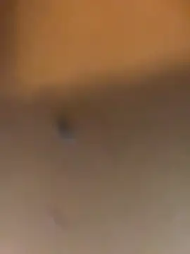 chrisstyannecd Pertunjukan Webcam