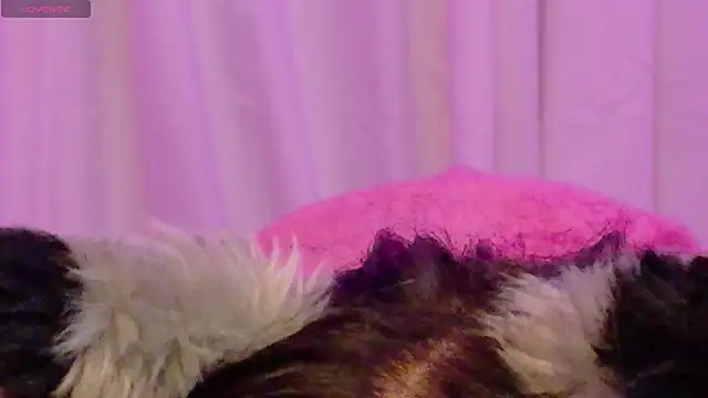 Sachi_Meow live XXX chat