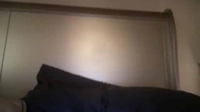 KungFuPanda001 Show in webcam