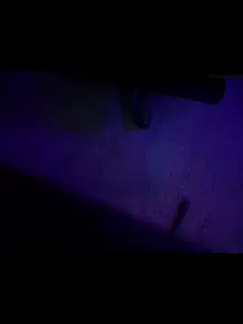 chronic_vibez: διαδικτυακό σόου στην κάμερα