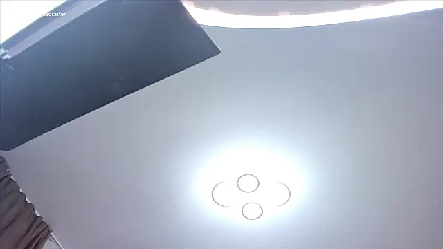 fireflowers_ Webcam-Show