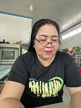 Alinat_n Webbikameraesitys