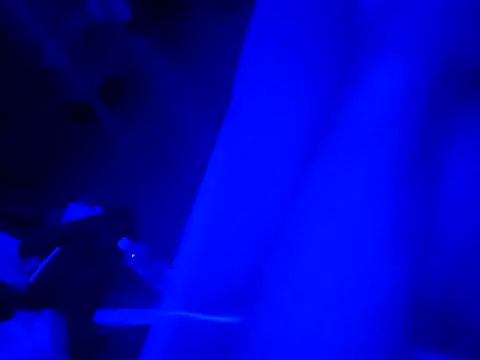 Show webcam de TchoussPimouss