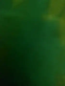 Morbosnif 웹캠 쇼