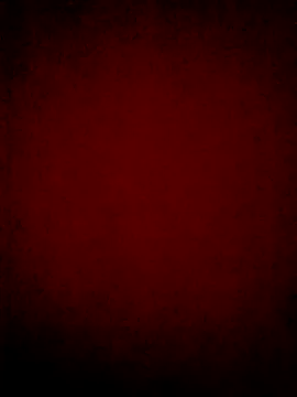 Show Webcam de pkxxp
