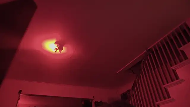 MasterDaddyCooln Webbikameraesitys