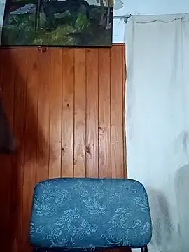 Show modela CasiTuya na web-kameri