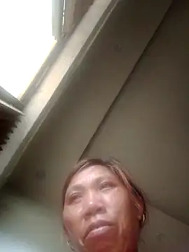 Melari Pertunjukan Webcam