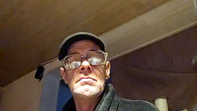Stillefugl webcam show