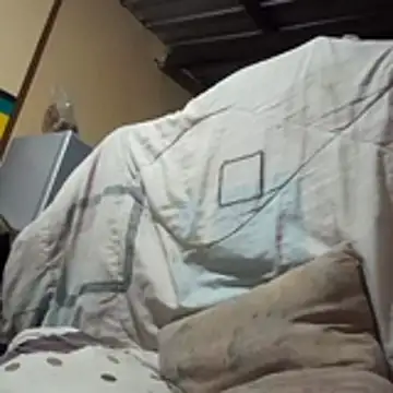 Ortiz3404 Live XXX-chat
