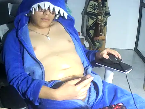 Rocko_16n Webbikameraesitys