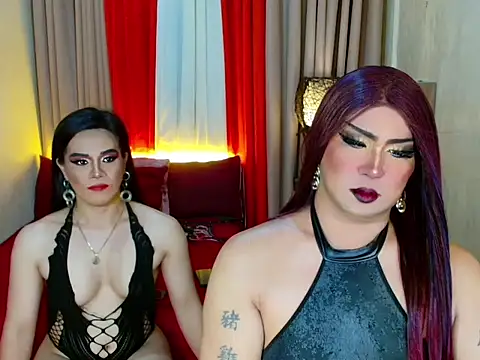 عرض كام Incredible_Shemale