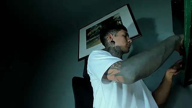 Show webcam de Travtanner