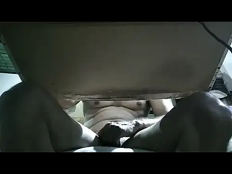 Elcaliente35 Pertunjukan Webcam