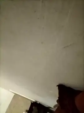 Pitercom's Webcam Show