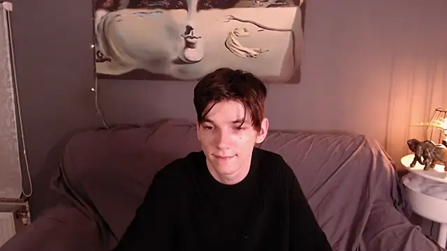 A_LFn Webbikameraesitys