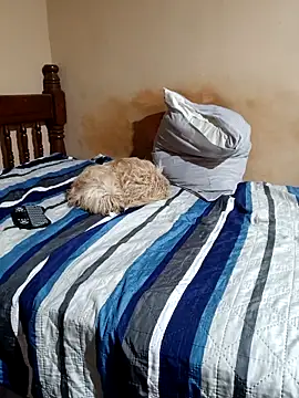 Single_lagunero – webcam-show