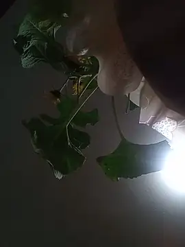 Alexis01ceja Obrolan Langsung XXX