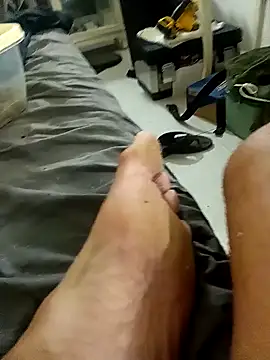 Milwokee Webcam Show